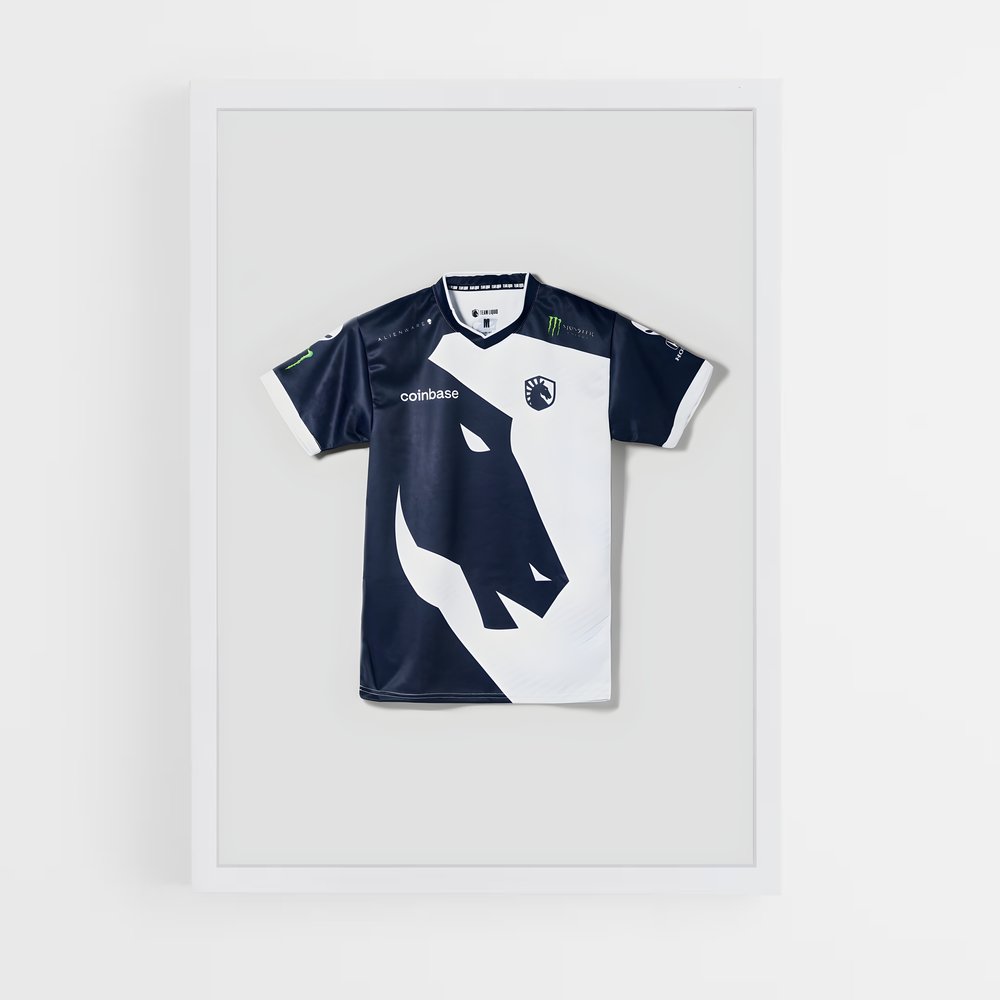 Poster Team de liquid – affiche Esports (vue 3)